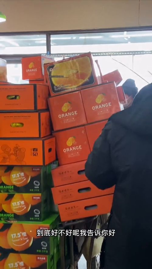 工厂店食品主播培训